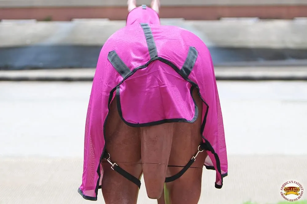 HILASON Horse Fly Sheet - Summer Spring UV Protection Mesh Bug Mosquito FlySheet for Horses | Mosquito Horse Fly-Sheet