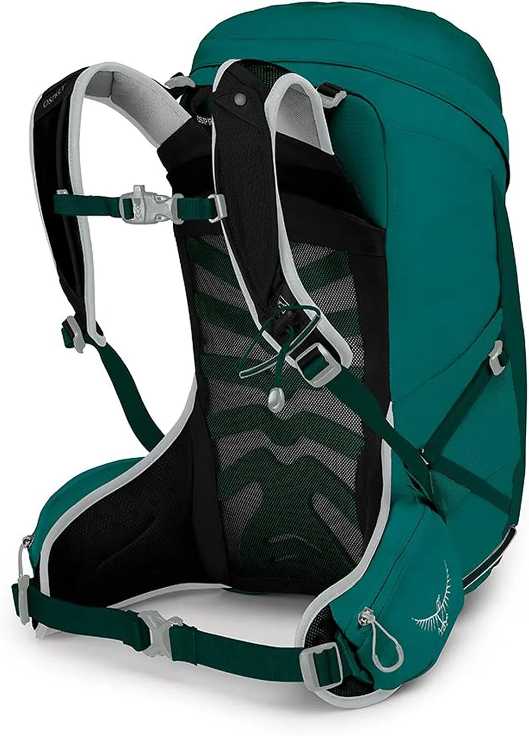 Osprey Tempest 24 Day Hiking Backpack - Women's Jasper Green Extra Small/Small