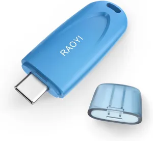 RAOYI 256GB USB C Flash Drive USB 3.1 Type C Flash Drive USB-C Thumb Drive Portable Memory Stick with Keyring Hole High-Speed Pen Drive for Laptop Smartphone Tablet Mac Type-C Devices, Blue